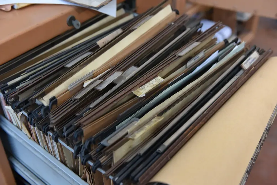 collector, documents, office, folder