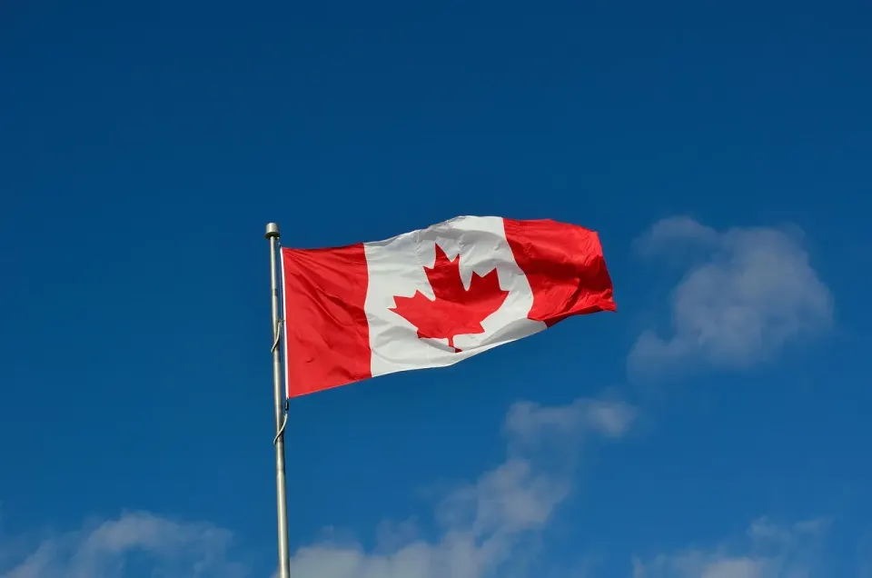 canadian flag, canada, maple, immigration